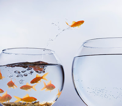 fishbowl